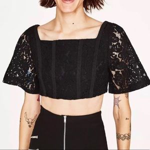 Zara Black Lace Crop Top